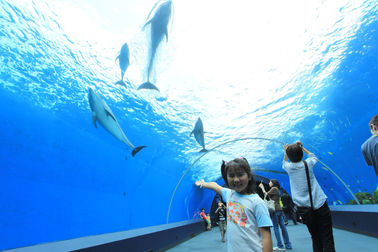 ３ 八景島シーパラダイス 午前 水族館編 八景島 神奈川県 の旅行記 ブログ By ３８うさぎさん フォートラベル