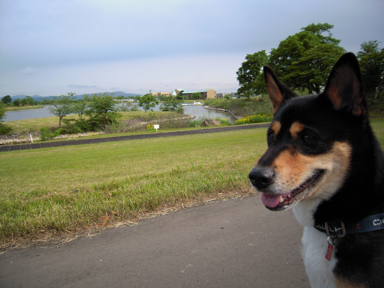 車中泊 北海道11編 増毛 雨竜 北海道 の旅行記 ブログ By Harukikiさん フォートラベル