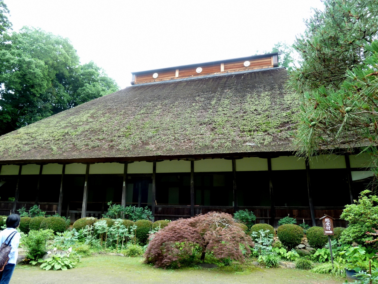 奥の細道を訪ねて[第4回]⑥黒羽藩主大関家の菩提寺「大雄寺」』大田原 