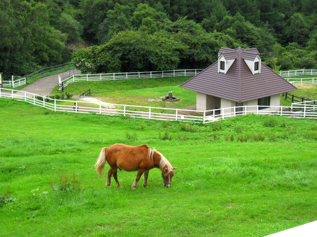 高原にいらっしゃい まきば公園 の動物たち 清里 八ヶ岳 山梨県 の旅行記 ブログ By あんみつ姫さん フォートラベル 高原にいらっしゃい まきば公園 の動物たち 清里 八ヶ岳 山梨県 の旅行記 ブログ By あんみつ姫さん フォートラベル