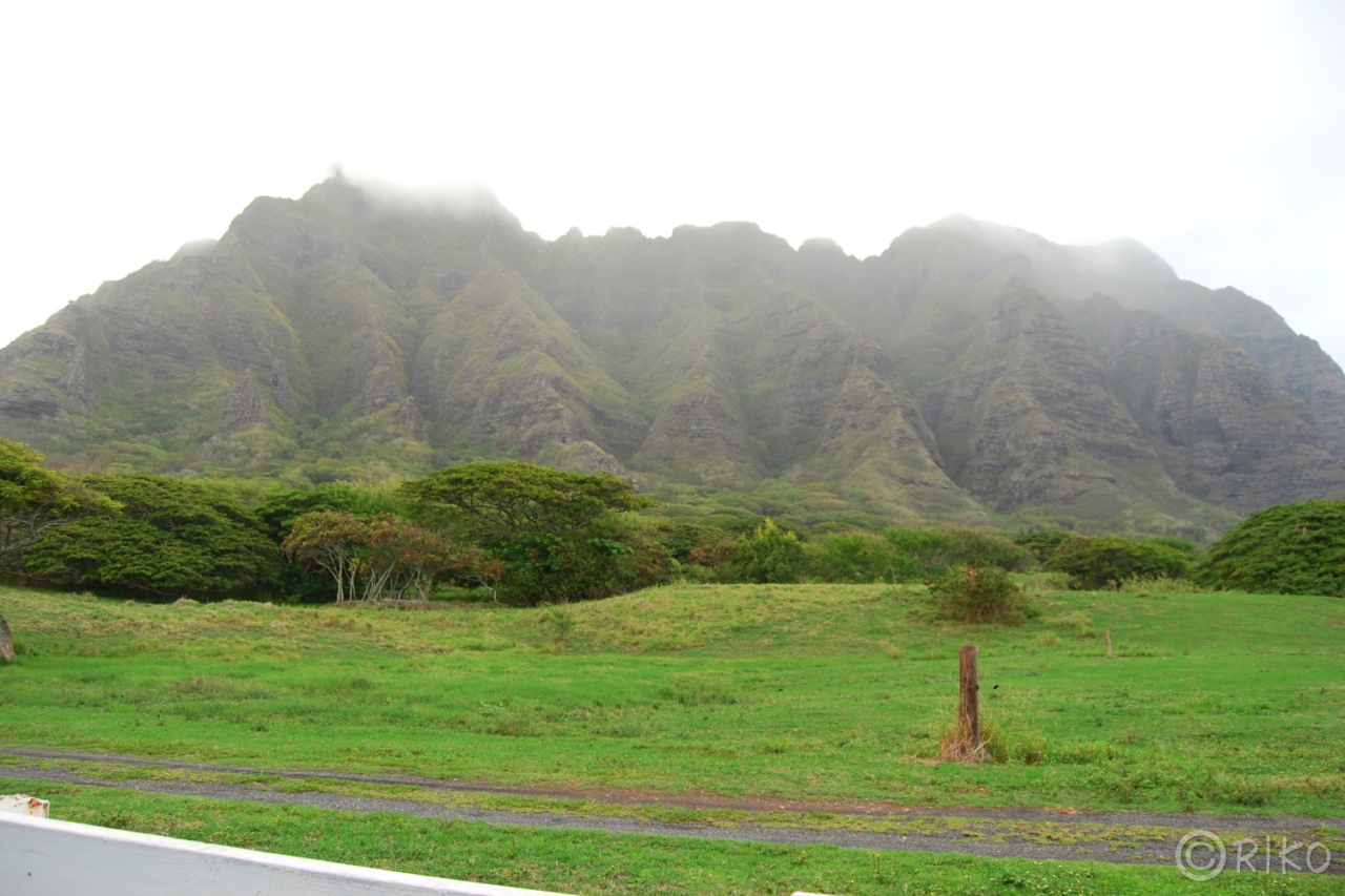 Hawaii 二日目 海と緑と山と オアフ島 ハワイ の旅行記 ブログ By Fran坊さん フォートラベル
