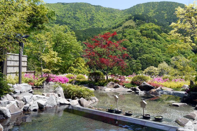 ０３ 久しぶりのエクシブ箱根離宮 温泉大浴場 三日月の湯 ダイニング ラウンジ ベラヴィスタ 宮ノ下温泉 神奈川県 の旅行記 ブログ By ミシマさん フォートラベル