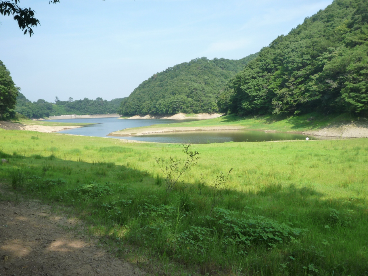 11 8 月山池とサイカチ沼 ドライブ 秋保温泉 宮城県 の旅行記 ブログ By もりおんさん フォートラベル
