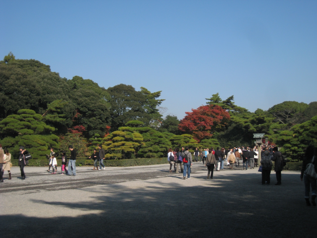 世界遺産 伊勢神宮