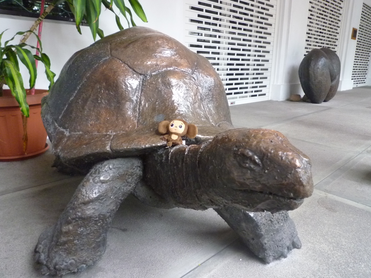 ゾウガメに会いに美しい自然が残るセーシェルに行ってきました その他の都市 セーシェル の旅行記 ブログ By チュンチュンさん フォートラベル
