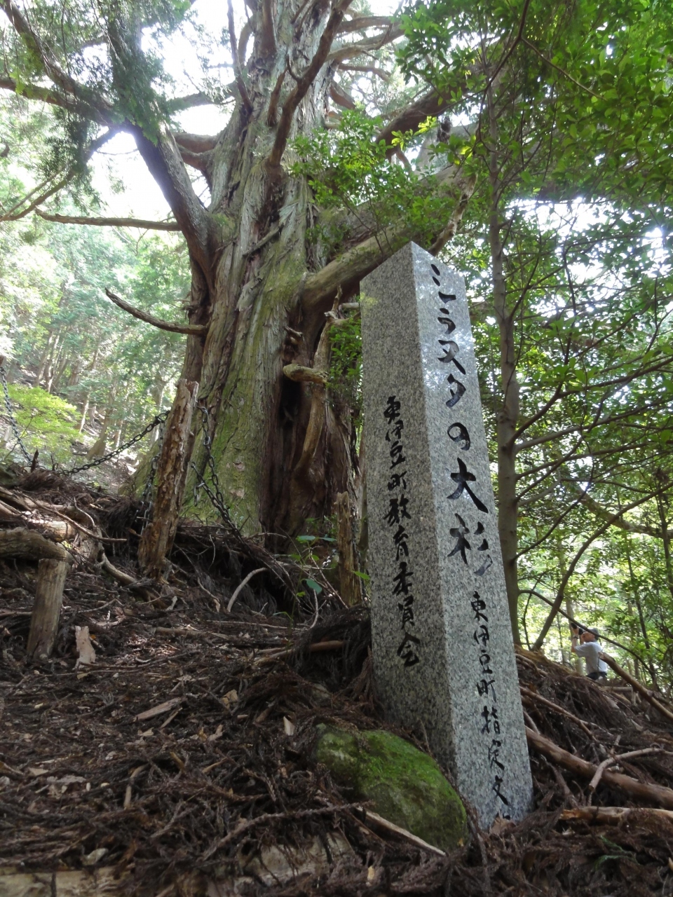 11年8月 伊東温泉 天城ハイランドの旅 後編 天城編 静岡県の旅行記 ブログ By Taxnaxさん フォートラベル