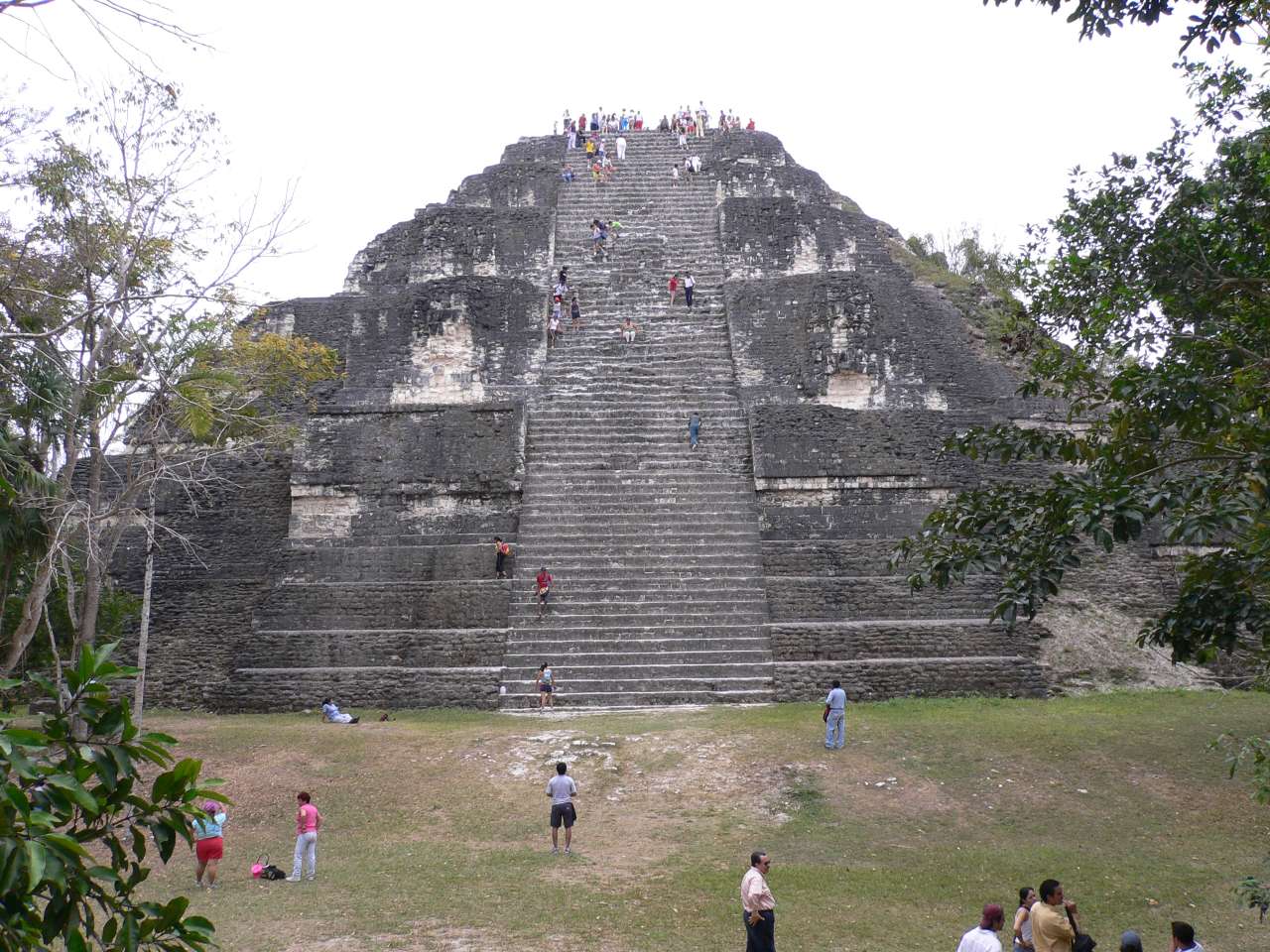 中米のマヤ遺跡 ティカル Tikal 訪問 ティカル遺跡周辺 グアテマラ の旅行記 ブログ By Hirootaniさん フォートラベル