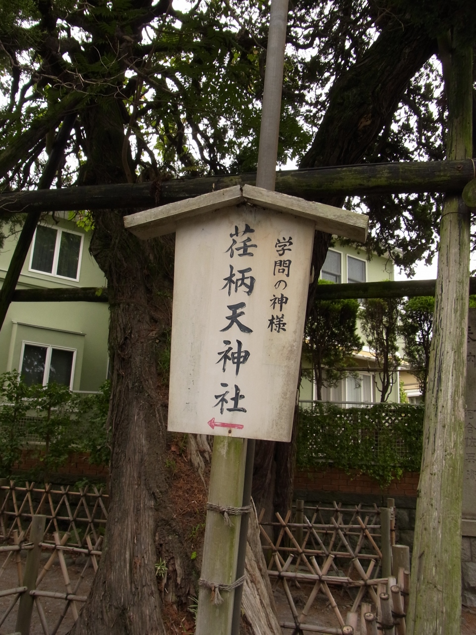鎌倉早朝さんぽ 荏柄天神社 鎌倉 神奈川県 の旅行記 ブログ By Ragnagさん フォートラベル 鎌倉早朝さんぽ 荏柄天神社 鎌倉 神奈川県 の旅行記 ブログ By Ragnagさん フォートラベル