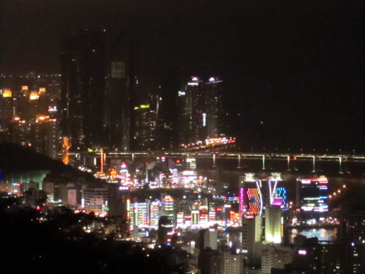 Lccで行く初めての韓国 夜景と釜山水族館 釜山 韓国 の旅行記 ブログ By Hideさん フォートラベル