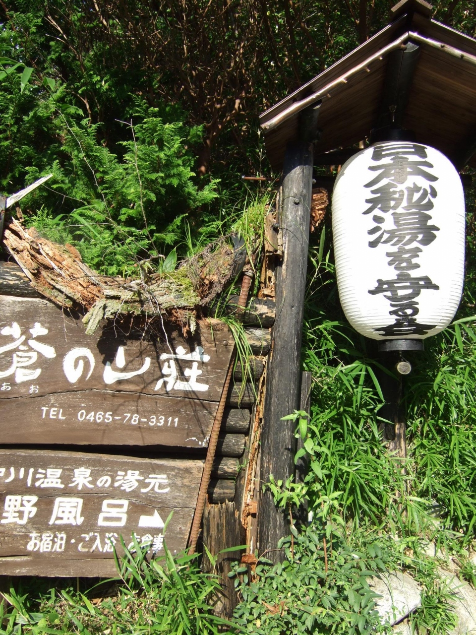 神奈川県唯一の秘湯の湯 蒼の山荘にて日帰り風呂 散策 足柄sa などなど 丹沢 大山 神奈川県 の旅行記 ブログ By 白麟さん フォートラベル