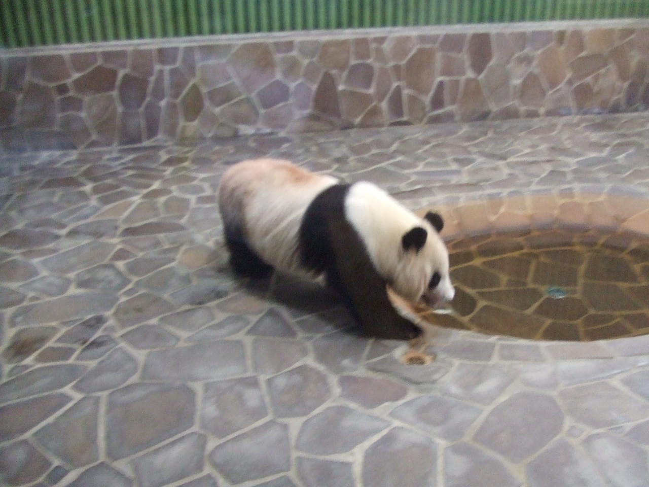 神戸 淡路島旅行記 1 王子動物園へ 神戸 兵庫県 の旅行記 ブログ By たまさん フォートラベル