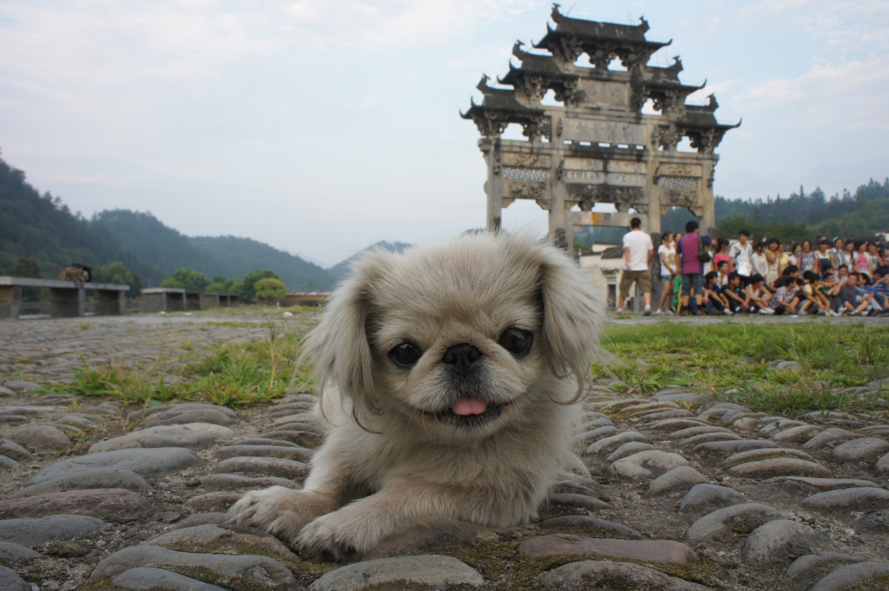 『黄山(+安徽南部古村)・ひとり旅 (1日目/西逓村)』黄山(中国)の旅行記・ブログ by たまのすけさん【フォートラベル】