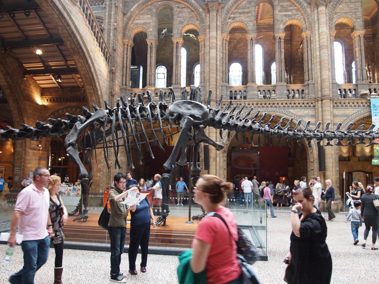 恐竜ファンに魅力の自然史博物館 ロンドン イギリス の旅行記 ブログ By Lion3さん フォートラベル