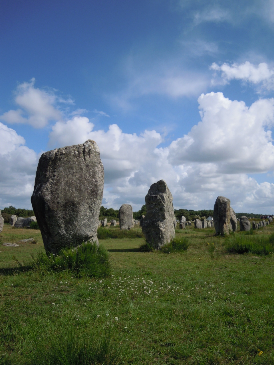 ブルターニュの旅 カルナックの列石 Carnac カルナック カルナック フランス の旅行記 ブログ By コクリコさん フォートラベル