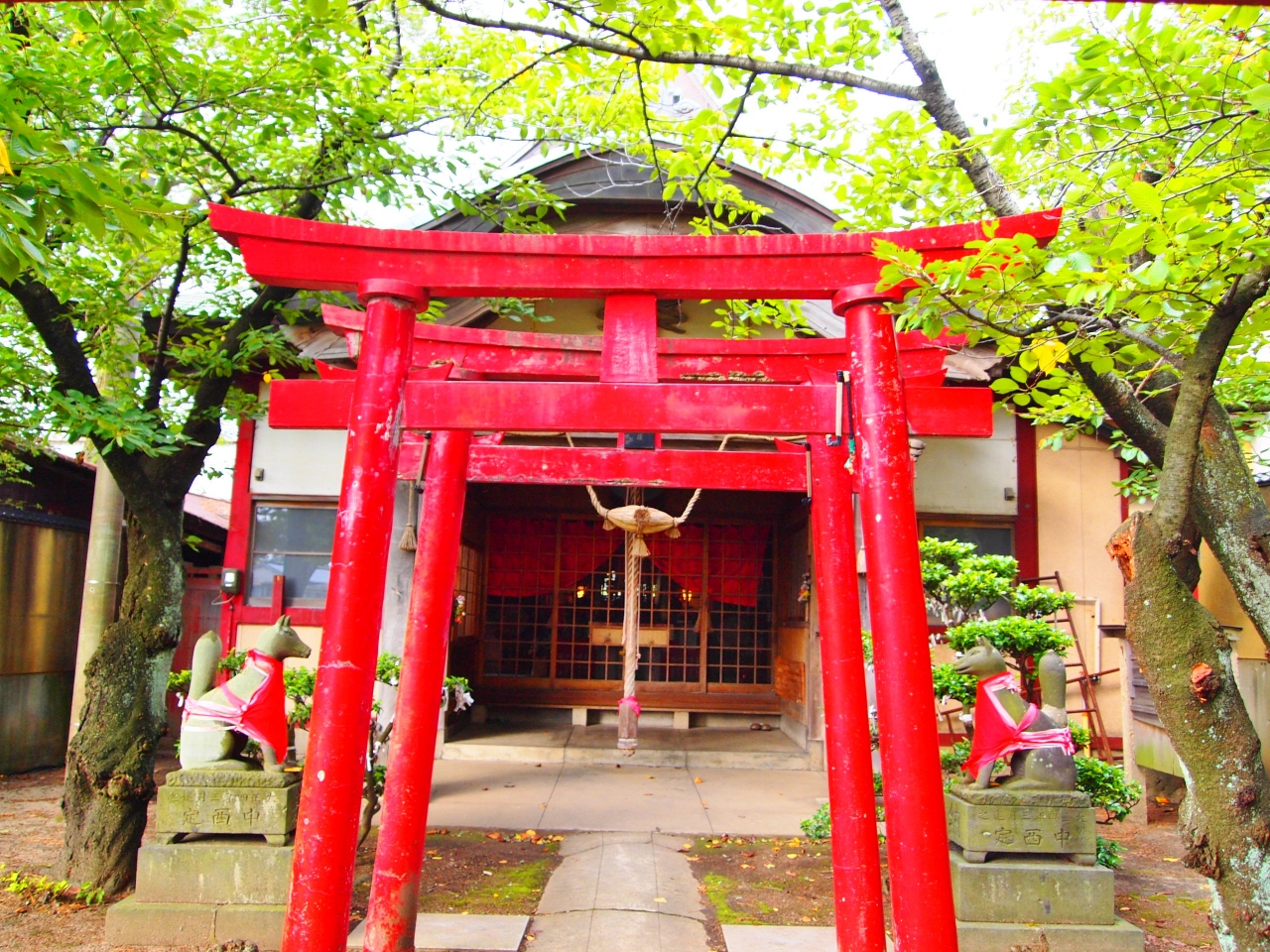 第五弾 酒田 開運スポット 酒田 山形県 の旅行記 ブログ By さくらampanさん フォートラベル