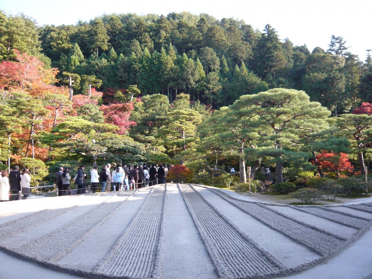 秋の京都日帰り一人旅 ２００８ 京都の旅行記 ブログ By Tabitabi Parsleyさん フォートラベル