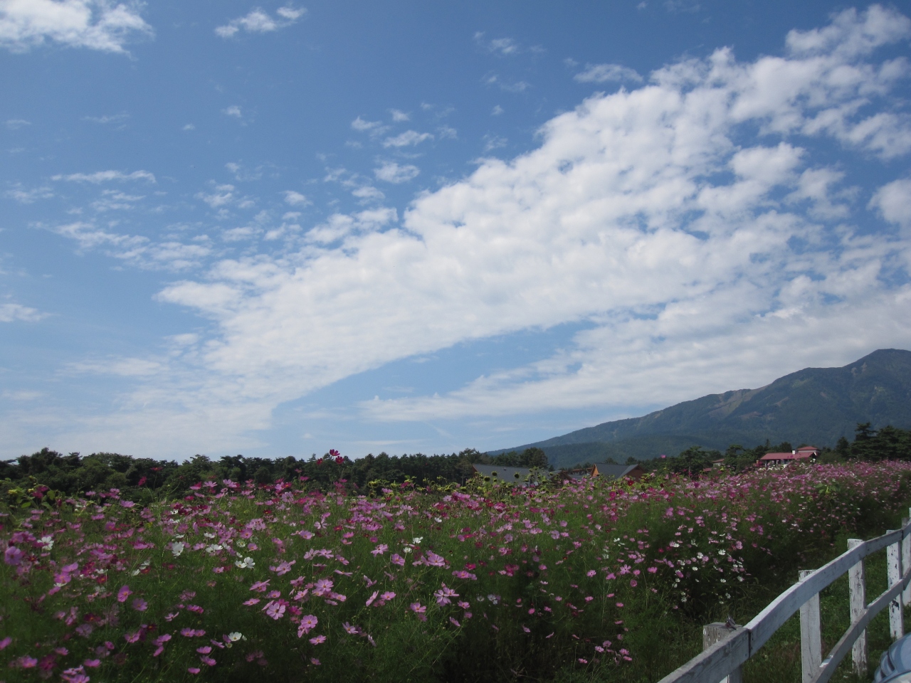 清里 ファニーポケット ペンションの旅 清里 八ヶ岳 山梨県 の旅行記 ブログ By ちっちさん フォートラベル