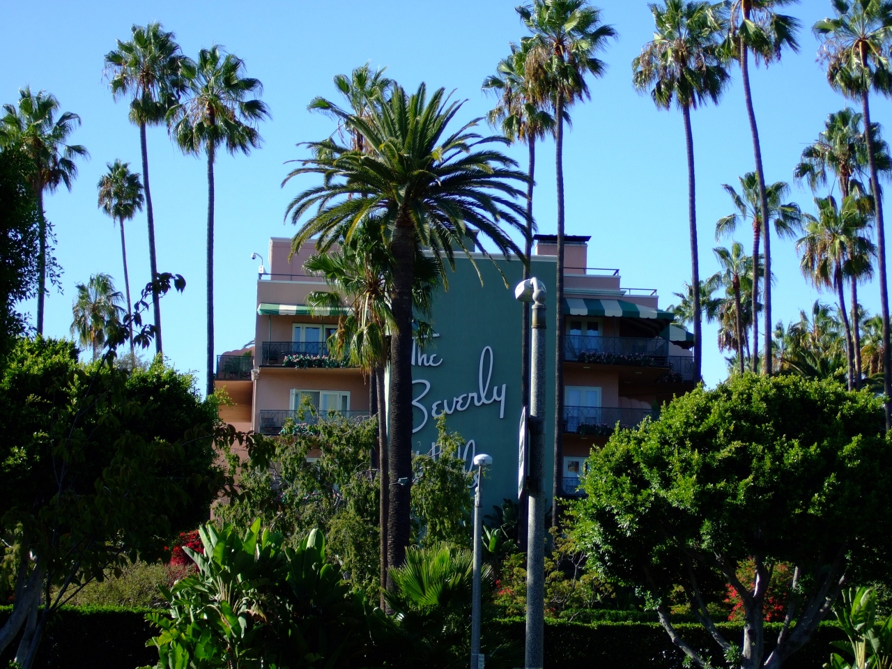 初海外 Los Angels １ ハリウッド ビバリーヒルズの豪邸めぐり ロサンゼルス アメリカ の旅行記 ブログ By Korilaさん フォートラベル