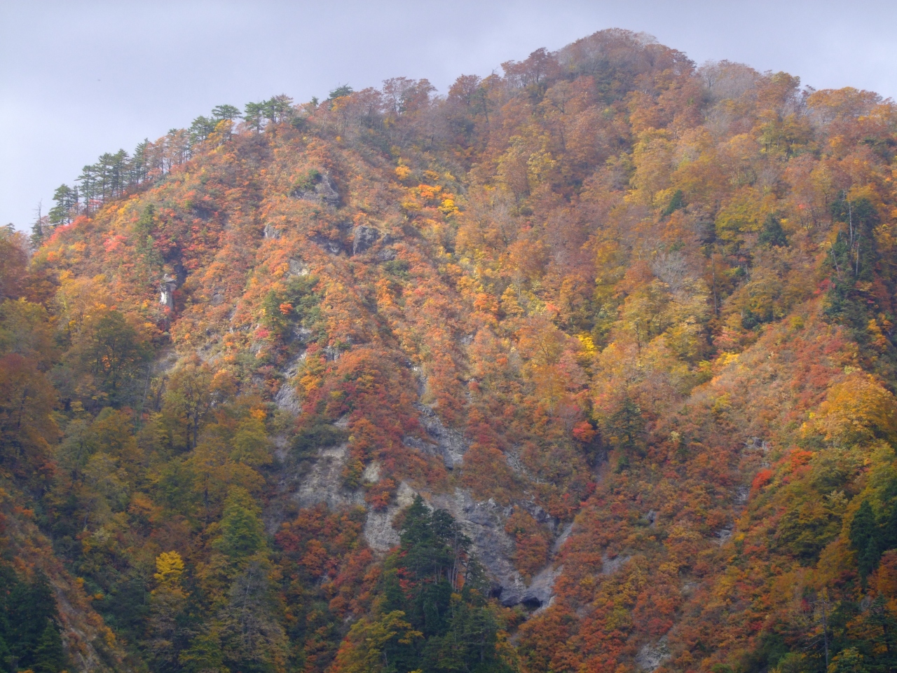 新 奥の太道 追いかけて紅葉 釣瓶落峠編 八峰 藤里 秋田県 の旅行記 ブログ By Ryusie りゅうじ さん フォートラベル 新 奥の太道 追いかけて紅葉 釣瓶落峠編 八峰 藤里 秋田県 の旅行記 ブログ By Ryusie りゅうじ さん フォートラベル