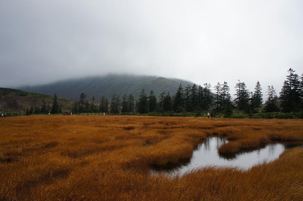 羊蹄山麓紅葉めぐり 神仙沼 ミルク工房 ニセコ 北海道 の旅行記 ブログ By 背包族さん フォートラベル