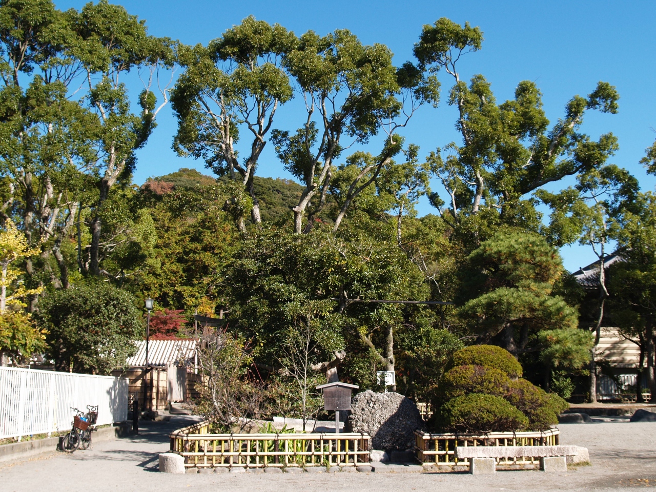 鎌倉鶴岡八幡宮源氏池湖畔 鎌倉 神奈川県 の旅行記 ブログ By ドクターキムルさん フォートラベル