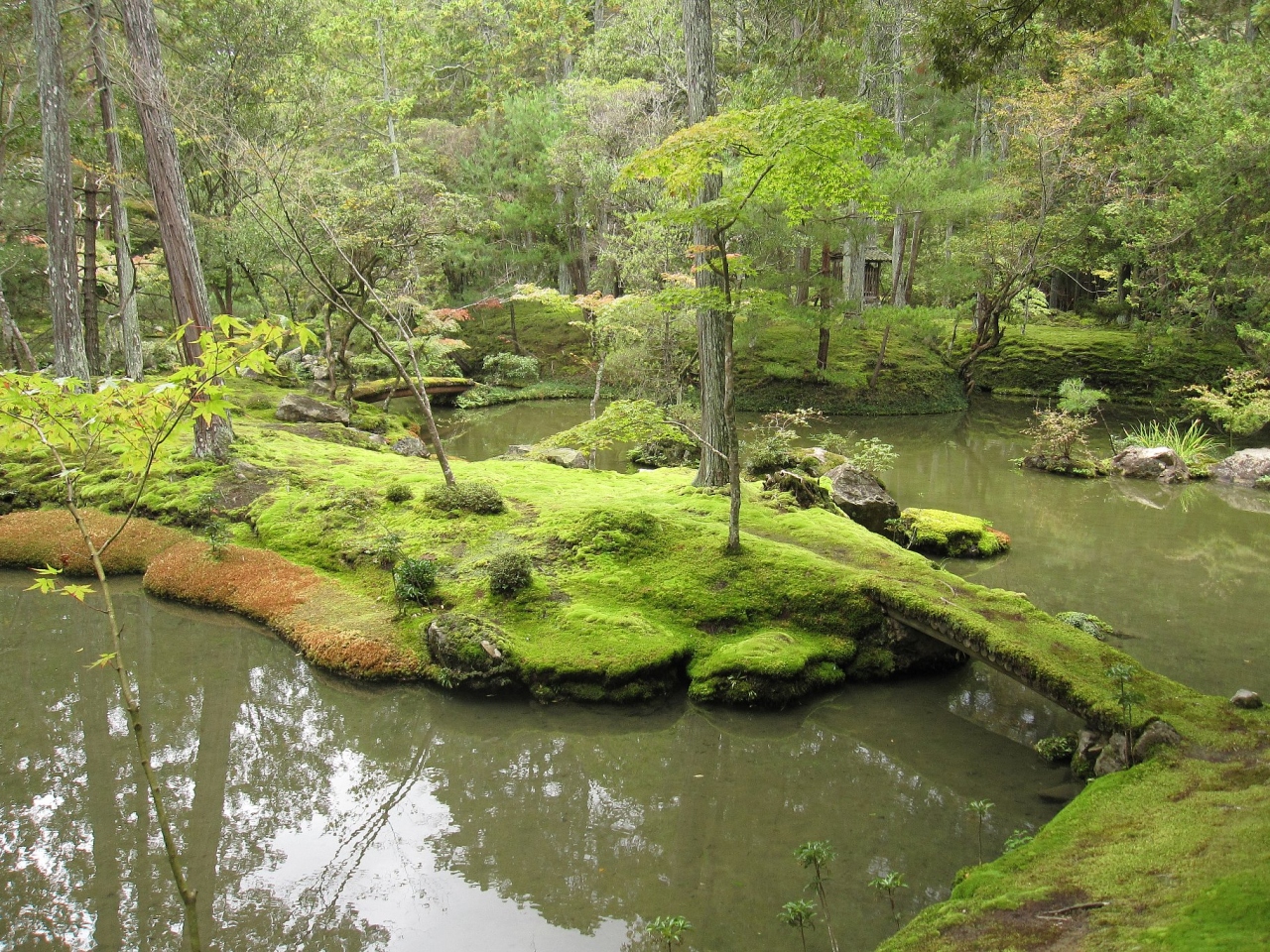 11年秋の苔寺 世界文化遺産西芳寺 嵐山 嵯峨野 太秦 桂 京都 の旅行記 ブログ By Saraさん フォートラベル