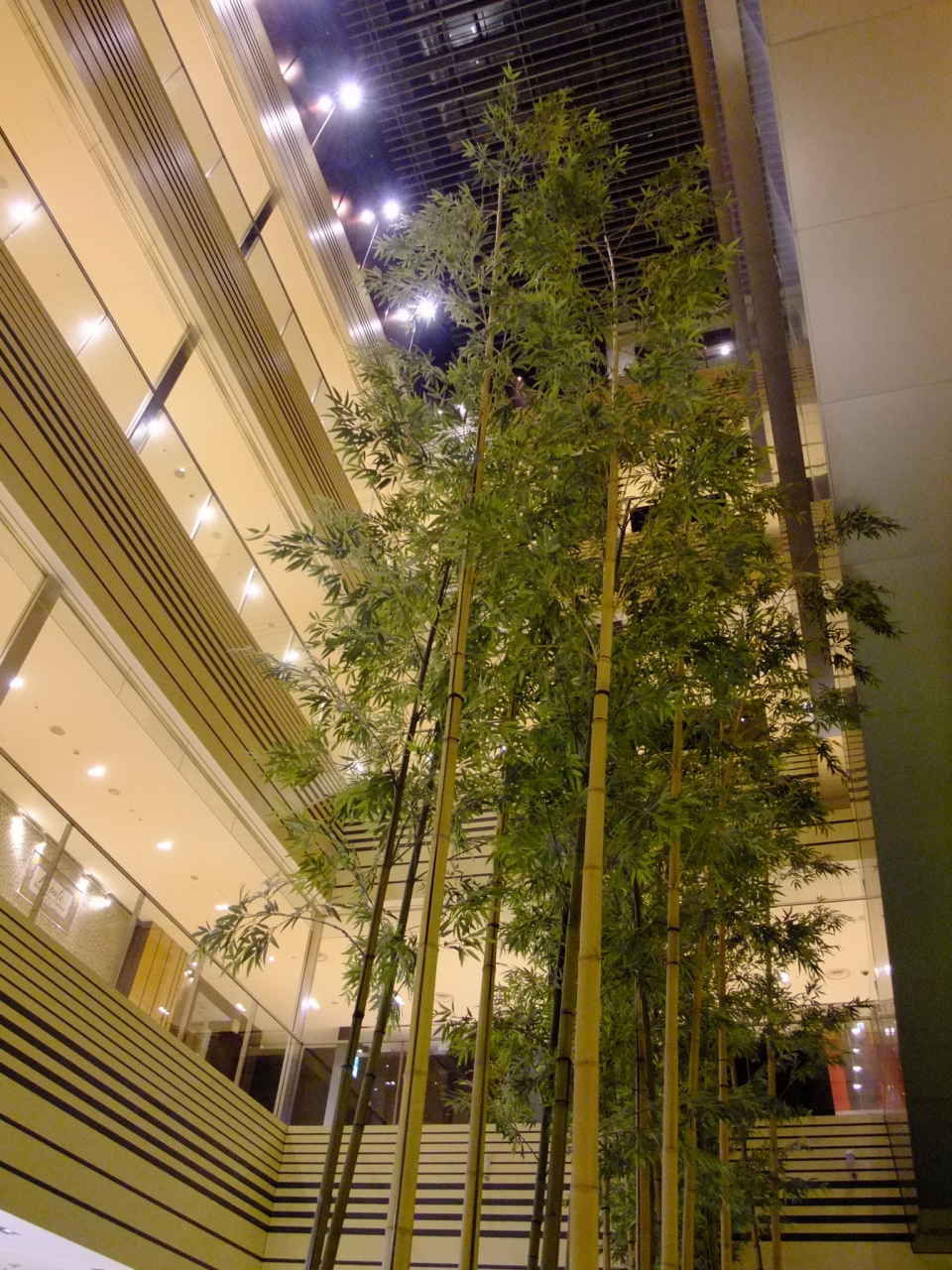 ホテルニューオータニ 赤坂サカス 東京ミッドタウン 東京の旅行記 ブログ By Puchipuchi1994さん フォートラベル