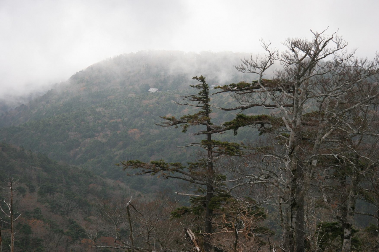 大台ケ原 ハイキング 初級者向けコース 大台ヶ原 上北山 奈良県 の旅行記 ブログ By Pontyanさん フォートラベル 大台ケ原 ハイキング 初級者向けコース 大台ヶ原 上北山 奈良県 の旅行記 ブログ By Pontyanさん フォートラベル