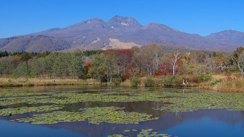 ２０１１紅葉追っかけ 33 妙高高原 いもり池の紅葉 妙高 池の平 新潟県 の旅行記 ブログ By Hn11さん フォートラベル