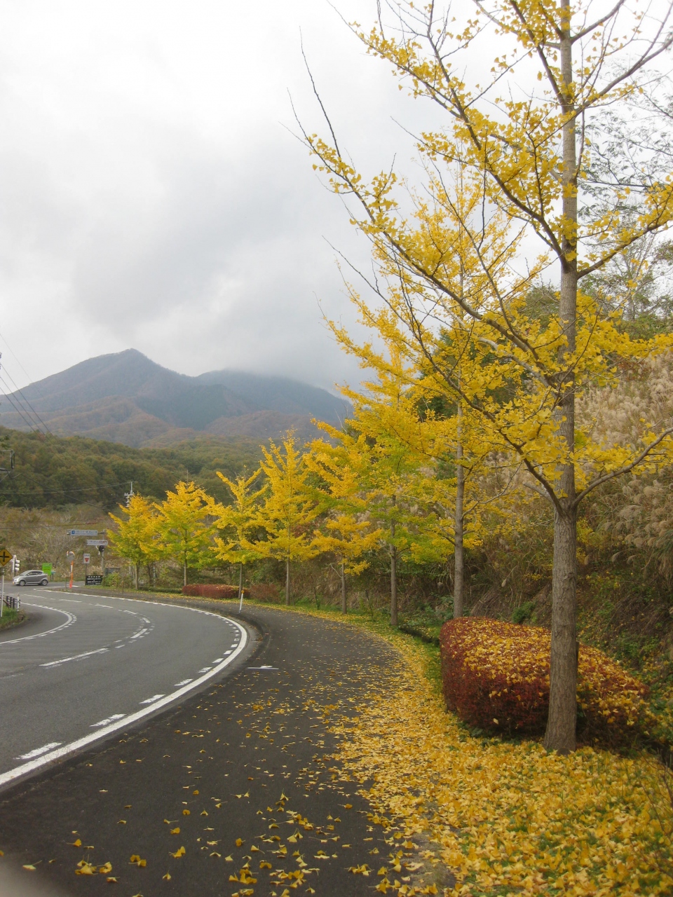 高原の秋 満喫 蒜山高原 自転車で行く 蒜山高原 岡山県 の旅行記 ブログ By Kokorokoさん フォートラベル 高原の秋 満喫 蒜山高原 自転車で行く 蒜山高原 岡山県 の旅行記 ブログ By Kokorokoさん フォートラベル