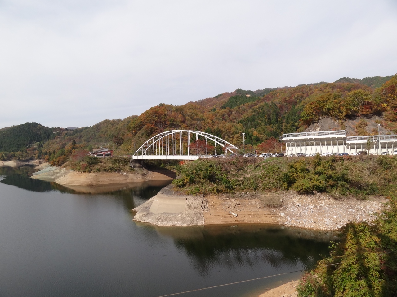 ２０１１ 晩秋 九頭竜湖の紅葉 九頭竜 福井県 の旅行記 ブログ By さや犬さん フォートラベル