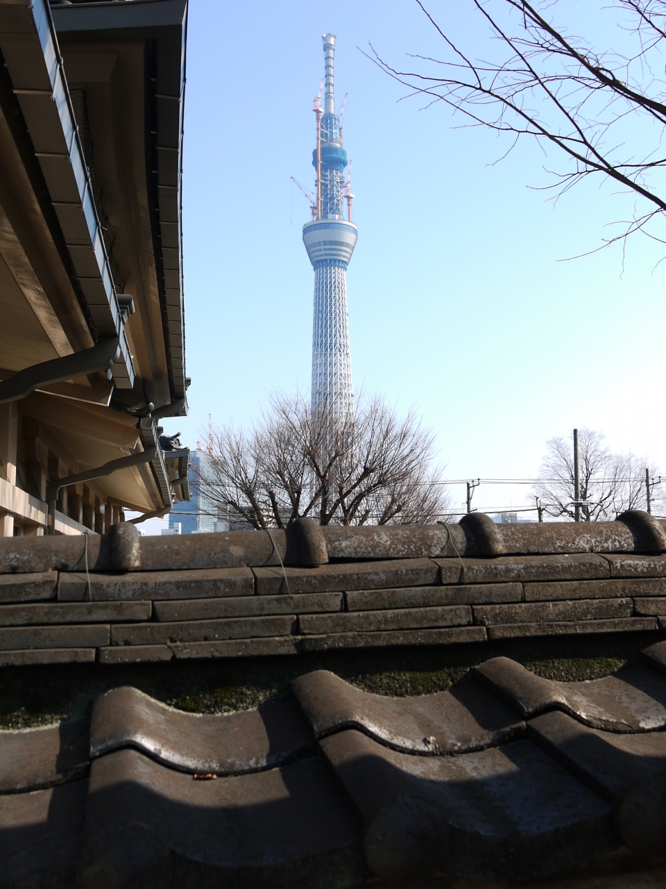 浅草 人力車で街巡り 東京スカイツリーが目の前に 浅草 東京 の旅行記 ブログ By Kevizooさん フォートラベル 浅草 人力車で街巡り 東京スカイツリーが目の前に 浅草 東京 の旅行記 ブログ By Kevizooさん フォートラベル