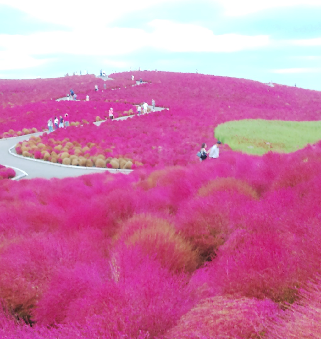 なんど行っても見どころ一杯福島県 東北の旅 紅葉編 会津若松 福島県 の旅行記 ブログ By A Chanさん フォートラベル なんど行っても見どころ一杯福島県 東北の旅 紅葉編 会津若松 福島県 の旅行記 ブログ By A Chanさん フォートラベル