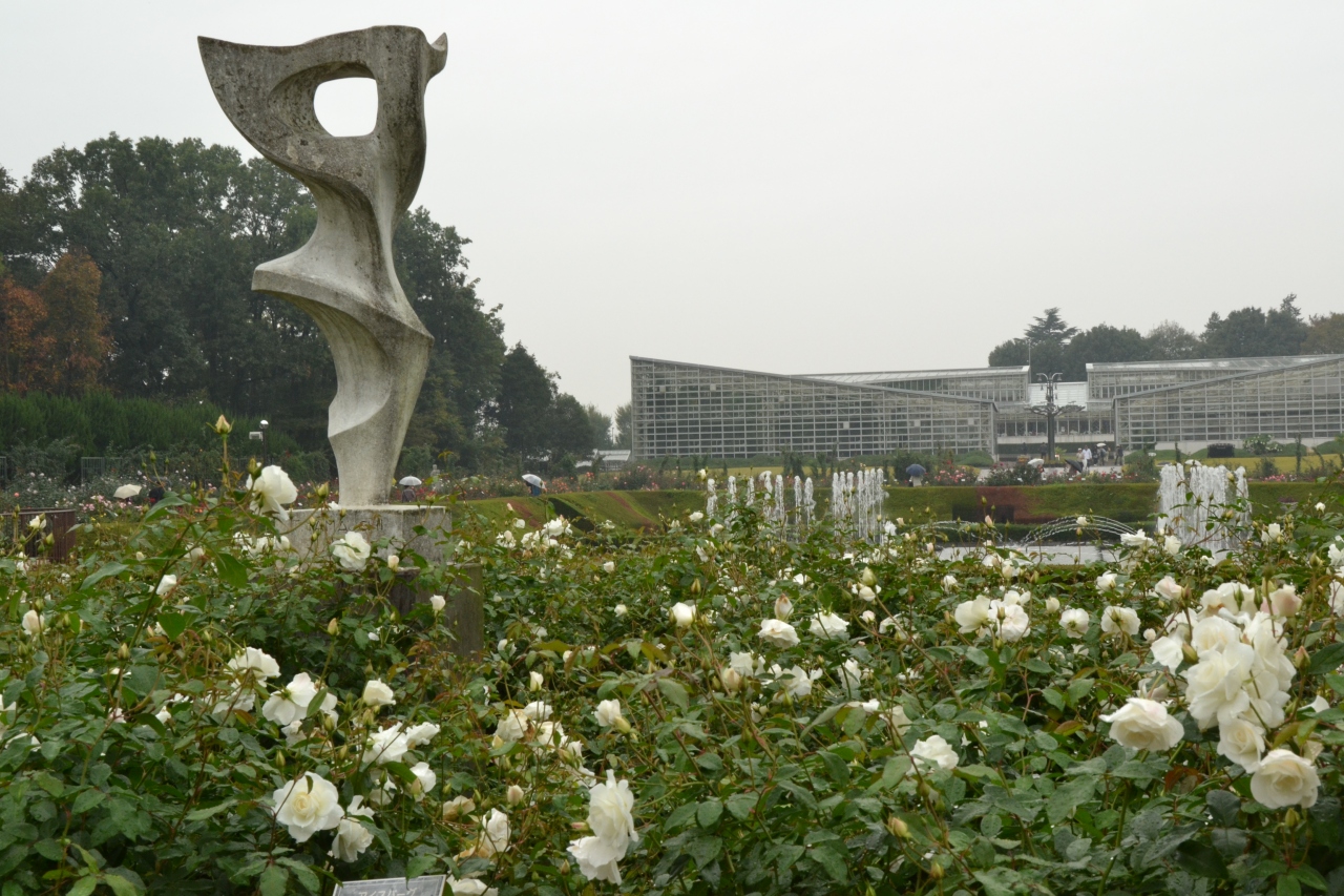 秋バラ見頃の神代植物公園 調布 狛江 東京 の旅行記 ブログ By どーもくんさん フォートラベル