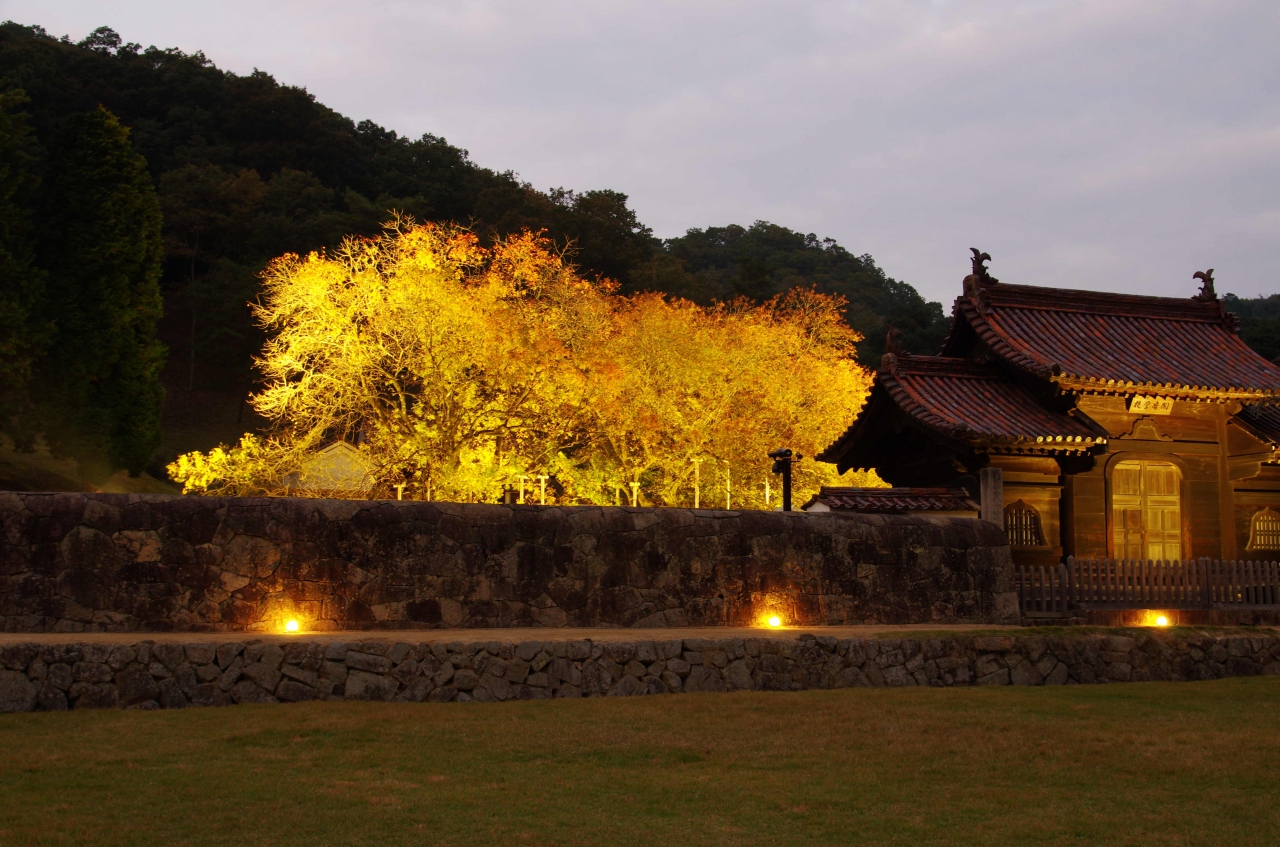 閑谷学校ライトアップ 備前 日生 岡山県 の旅行記 ブログ By 方谷さん フォートラベル