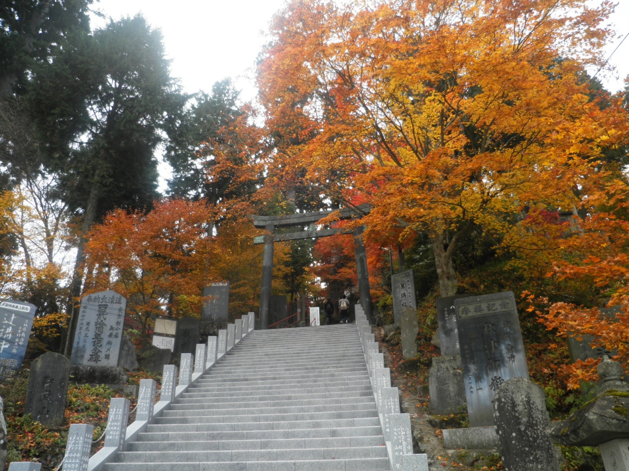 御岳 奥多摩２０１０紅葉 １ 御岳山 青梅 東京 の旅行記 ブログ By アイガーさん フォートラベル