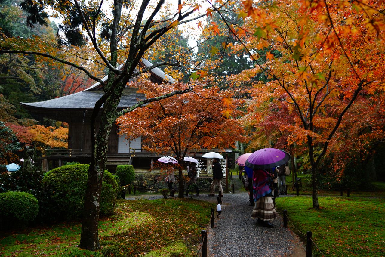 京都 2011 紅葉を見に 三日目 大原三千院 八瀬 大原 貴船 鞍馬 京都 の旅行記 ブログ By Yasuさん フォートラベル