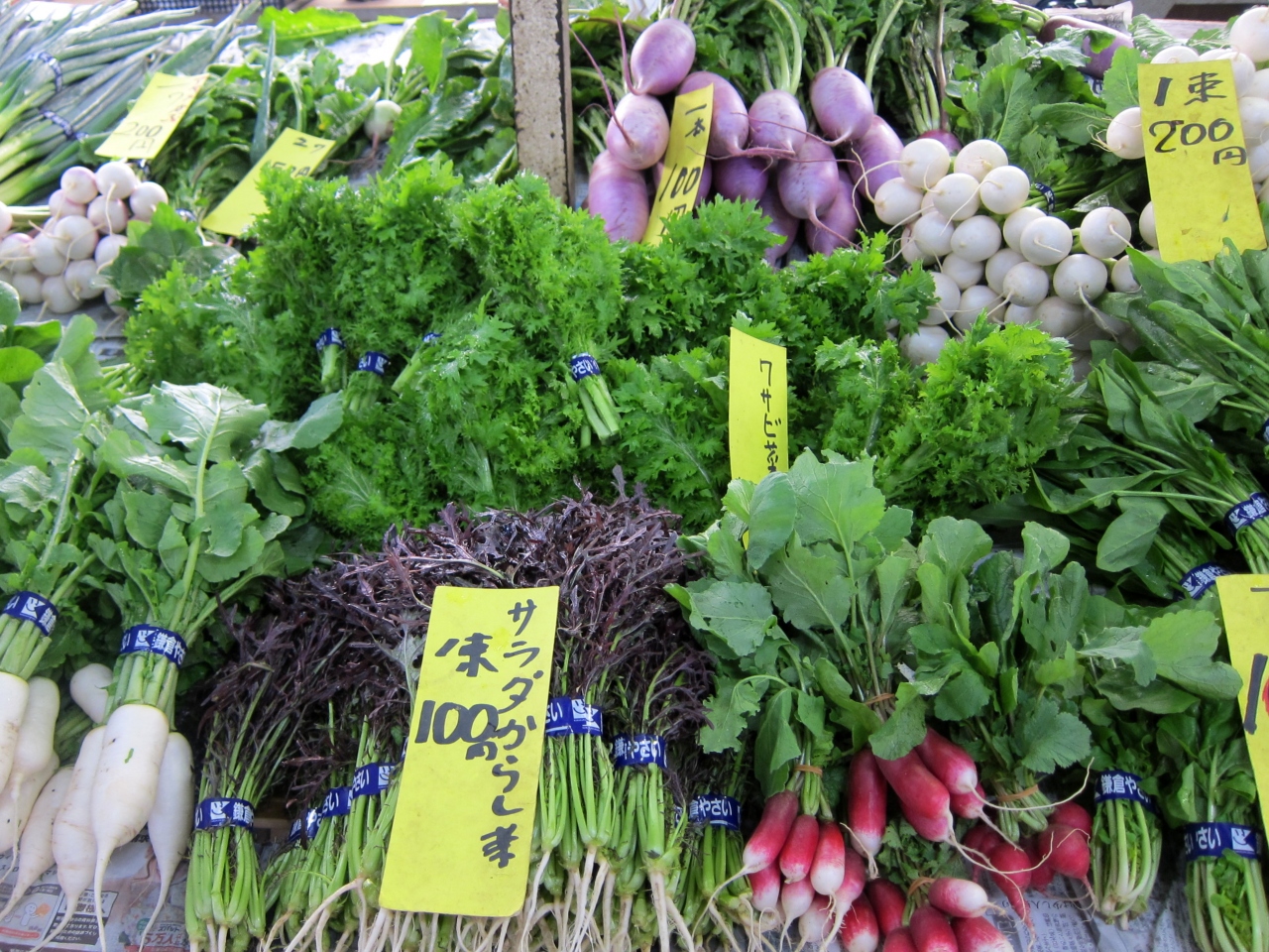 本日の鎌倉野菜 11 11 23 鎌倉市農協連卸売所 鎌倉 神奈川県 の旅行記 ブログ By Yquemさん フォートラベル