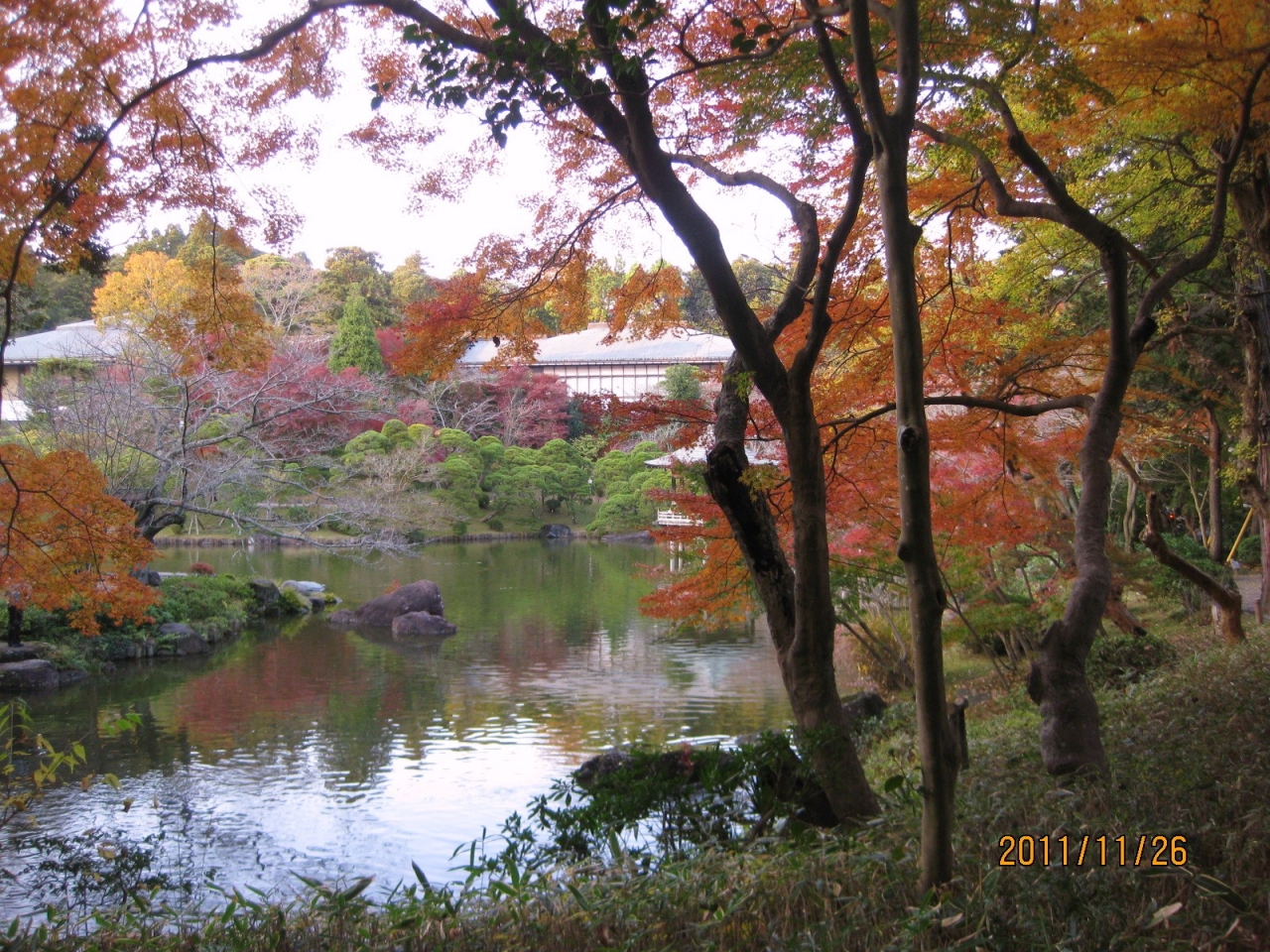 見ごろも終わりがけの成田山新勝寺の紅葉を愛でる 成田 千葉県 の旅行記 ブログ By ちょびれさん フォートラベル
