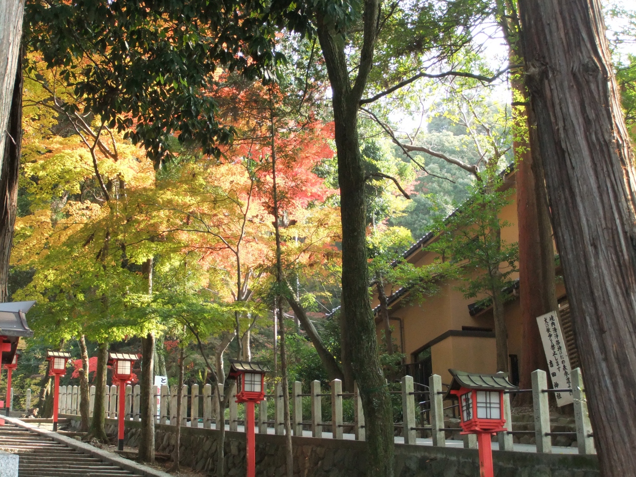 まやこのお散歩 吉田神社 吉田山 下鴨 宝ヶ池 平安神宮 京都 の旅行記 ブログ By まやこさん フォートラベル