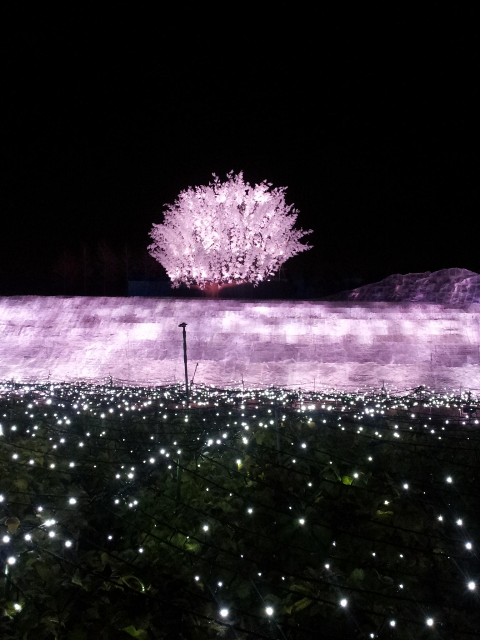 ウインターイルミネーション 長島 なばなの里 桑名 長島 三重県 の旅行記 ブログ By アゲハセレブさん フォートラベル ウインターイルミネーション 長島 なばなの里 桑名 長島 三重県 の旅行記 ブログ By アゲハセレブさん フォートラベル