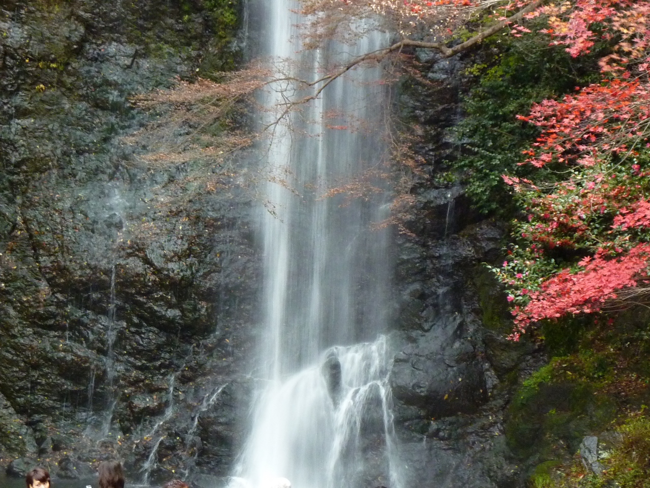 ほしだ園地 星のブランコ での紅葉と箕面の大滝での紅葉 欲張り大人の遠足 箕面 大阪 の旅行記 ブログ By Bettyさん フォートラベル ほしだ園地 星のブランコ での紅葉と箕面の大滝での紅葉 欲張り大人の遠足 箕面 大阪 の旅行記 ブログ By Bettyさん フォートラベル