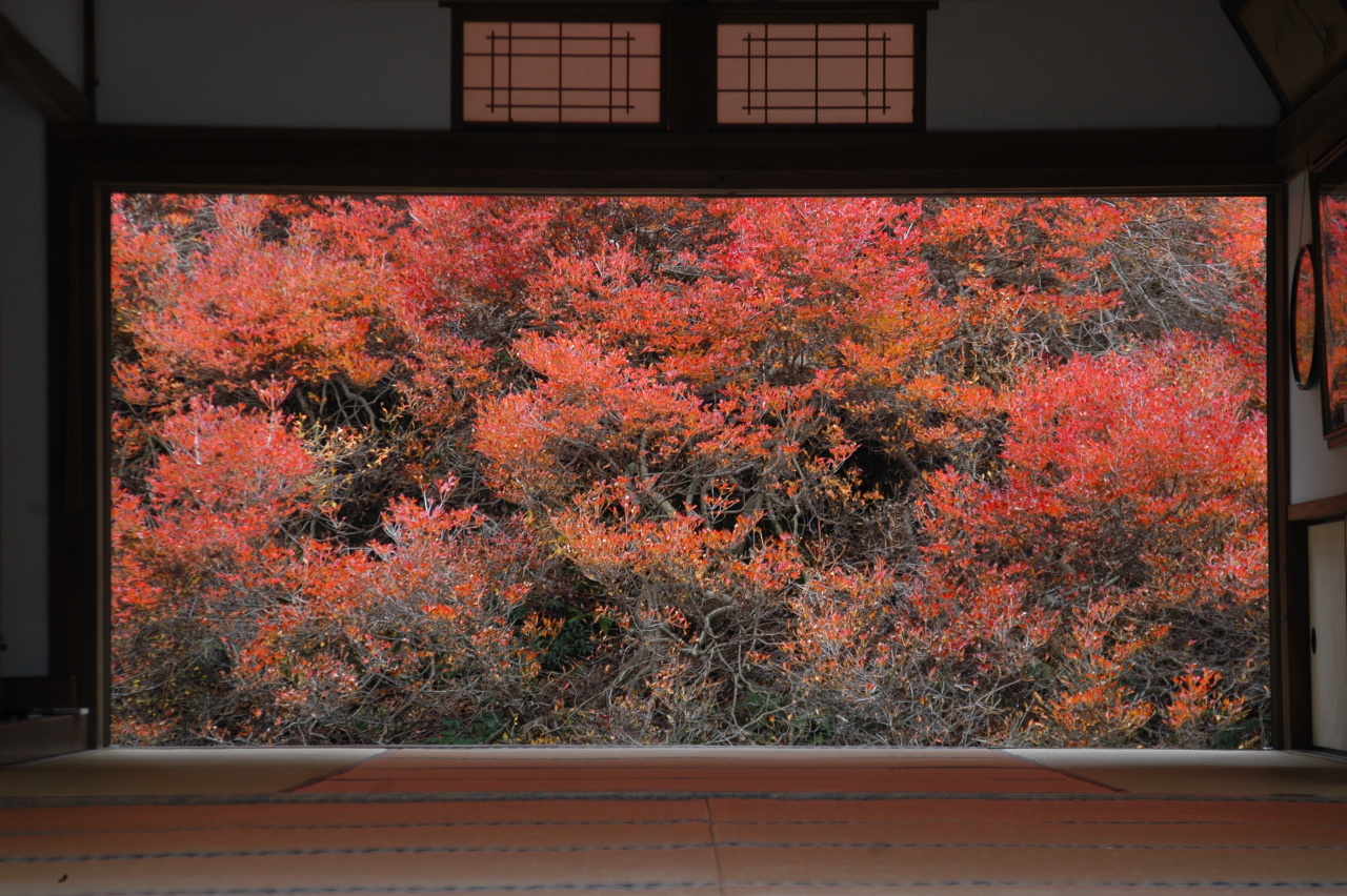丹波方面の紅葉狩りドライブ 兵庫県の旅行記 ブログ By Punchmsさん フォートラベル 丹波方面の紅葉狩りドライブ 兵庫県の旅行記 ブログ By Punchmsさん フォートラベル
