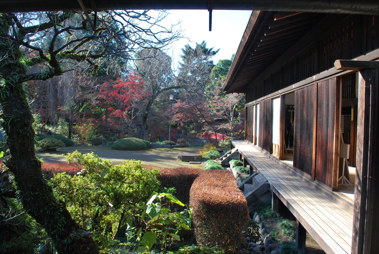 川越大師 喜多院 紅葉はもう終わっていた 川越 埼玉県 の旅行記 ブログ By Tackさん フォートラベル