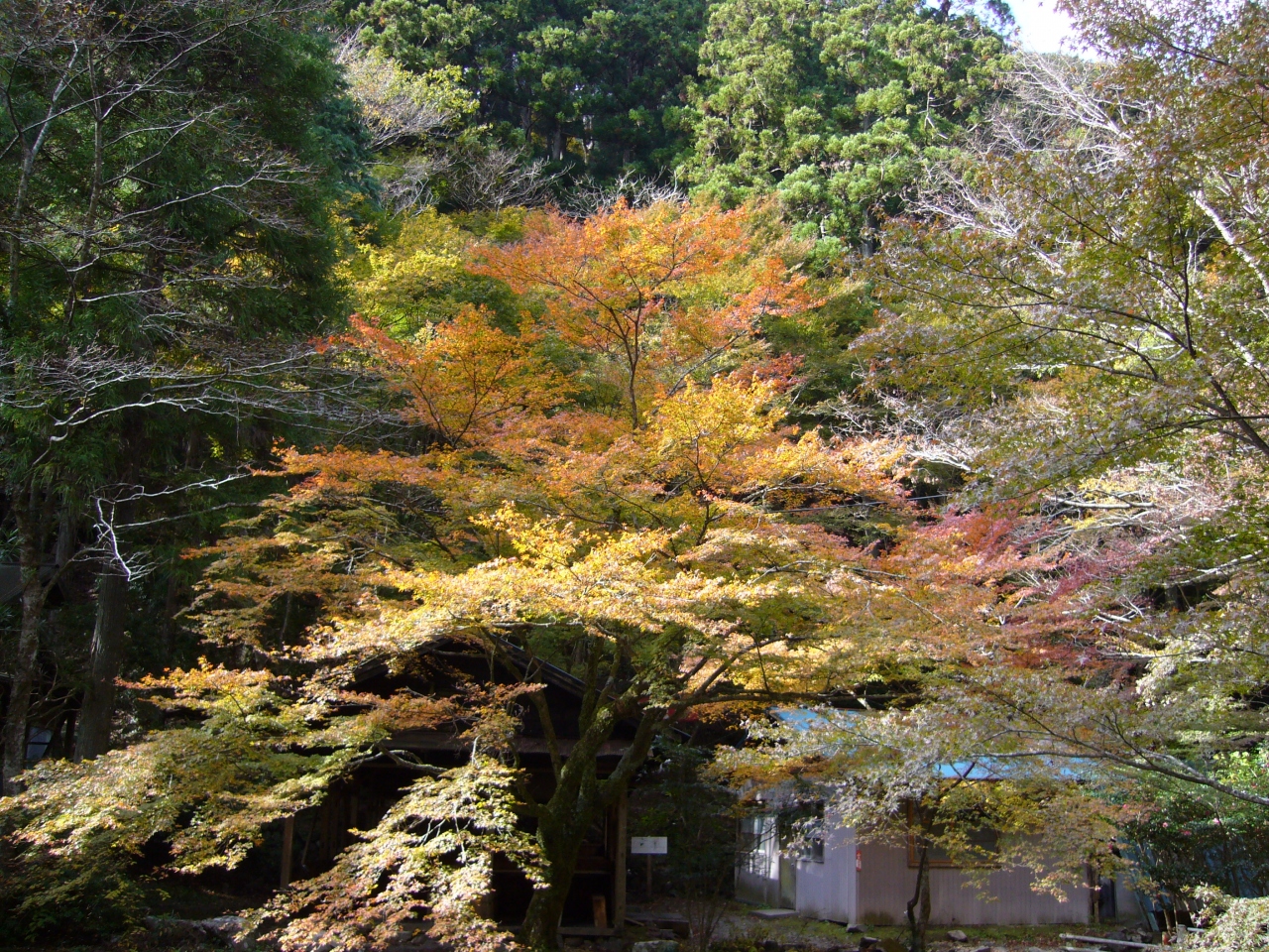 くらがり渓谷 岡崎 愛知県 の旅行記 ブログ By Alohakkoさん フォートラベル