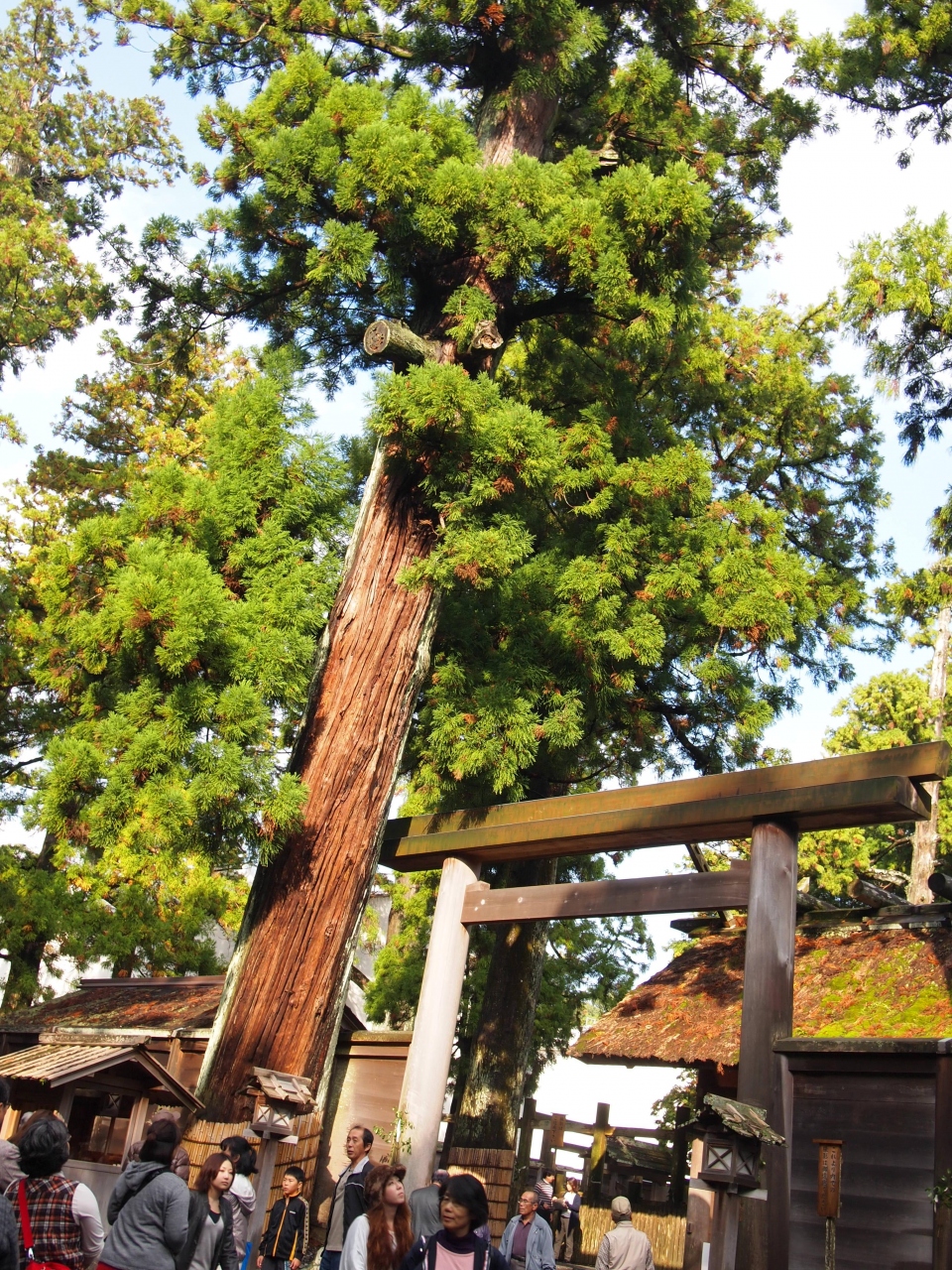 伊勢志摩 家族旅行 三重県の旅行記 ブログ By Zukunashichanさん フォートラベル 伊勢志摩 家族旅行 三重県の旅行記 ブログ By Zukunashichanさん フォートラベル