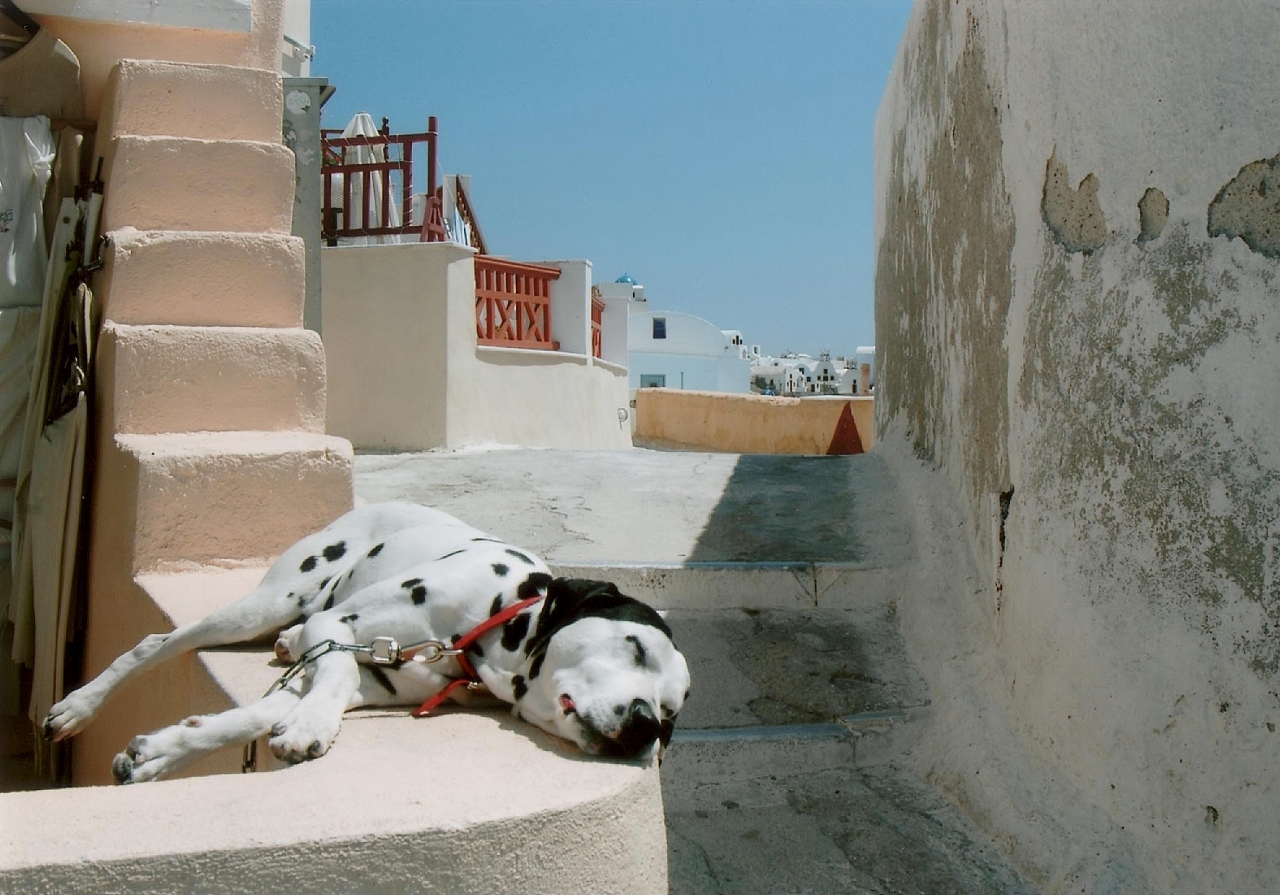 憧れの地ギリシャへb 白い町のシエスタ サントリーニ島 サントリーニ島 ギリシャ の旅行記 ブログ By Mykonosさん フォートラベル