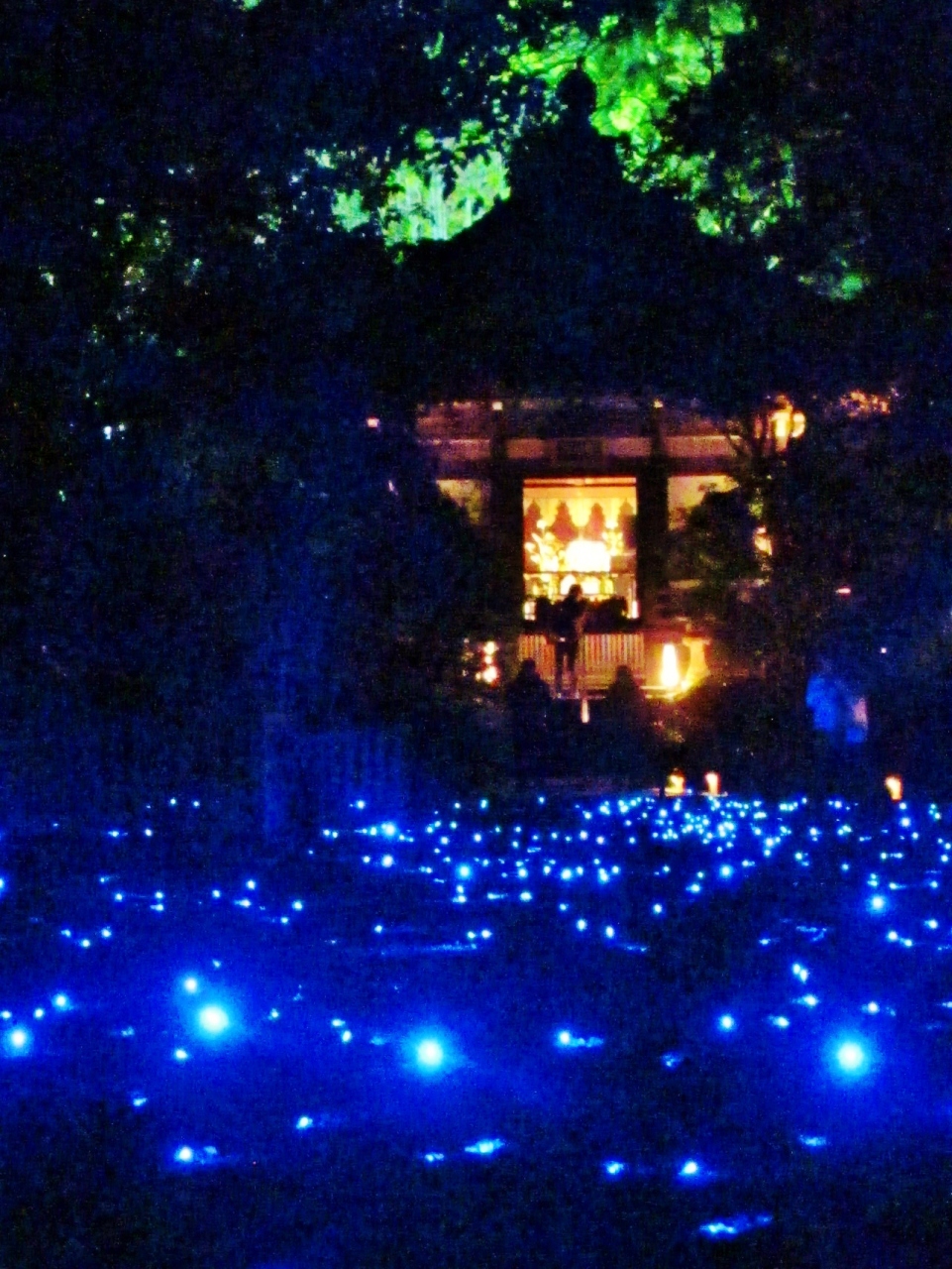 京都錦秋 3 青蓮院門跡 夜の特別拝観 クスノキも光に浮かび 東山 祇園 北白川 京都 の旅行記 ブログ By マキタン２さん フォートラベル