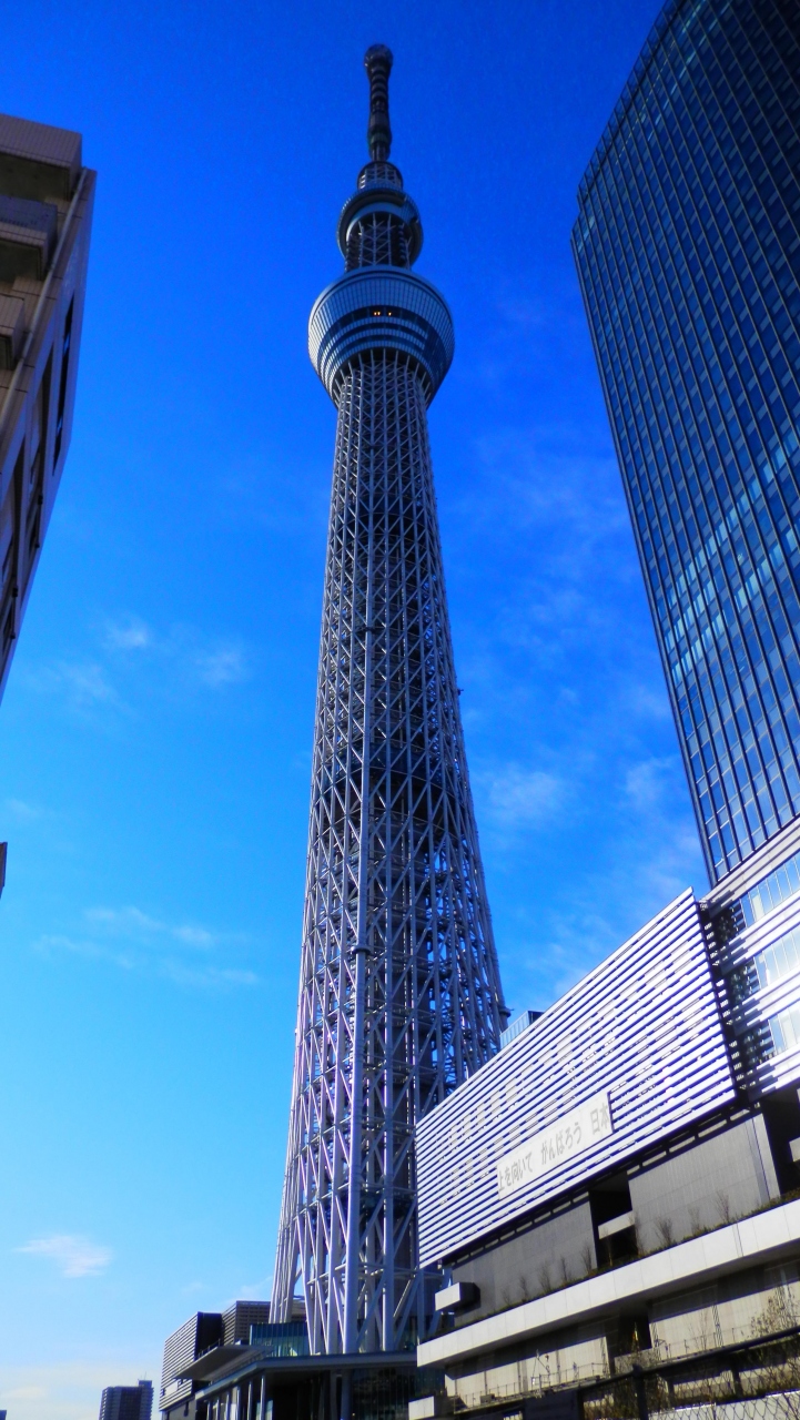 参拝 そして スカイツリー 浅草 東京 の旅行記 ブログ By なおさん フォートラベル