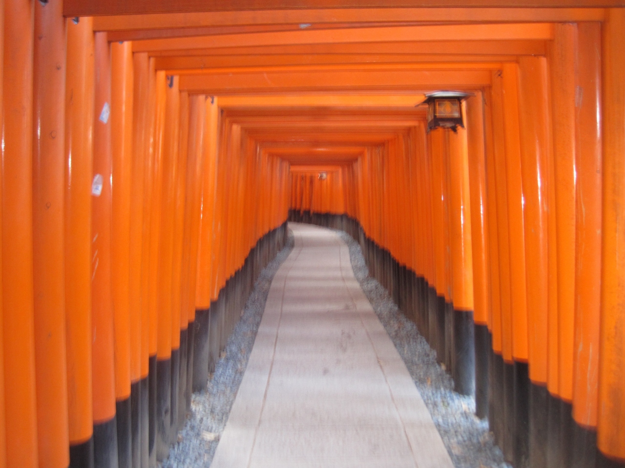 京都 冬の旅 伏見稲荷大社と三十三間堂 伏見 京都 の旅行記 ブログ By Hoyoyoさん フォートラベル